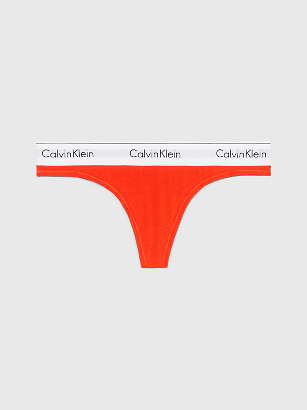 spicy orange thong - modern cotton for women calvin klein