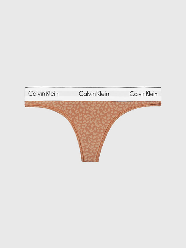 MINI ANIMAL PRINT_SANDALWOOD Thong - Modern Cotton for women CALVIN KLEIN