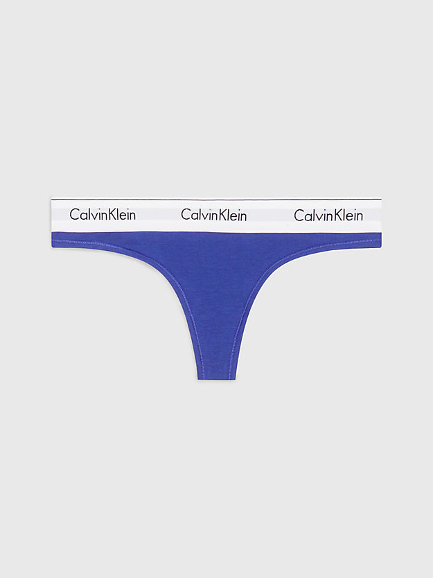 spectrum blue thong - modern cotton for women calvin klein