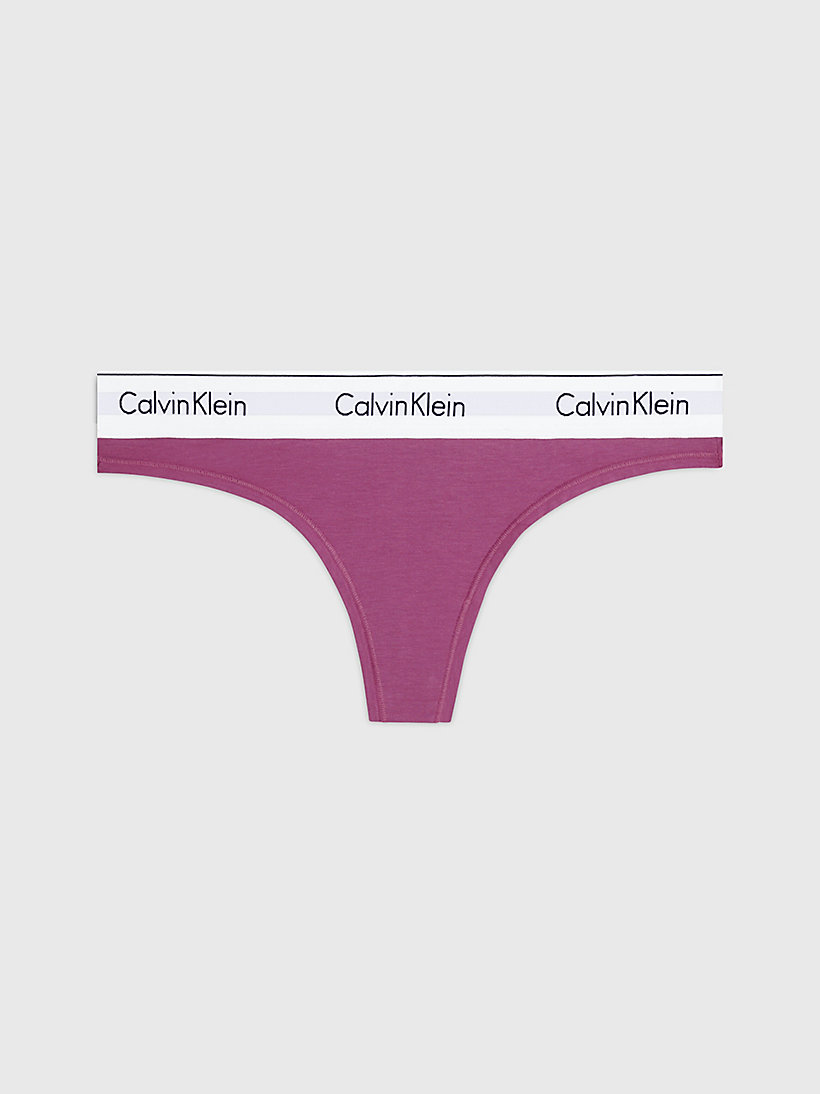 Calvin Klein Geo Lace Thong, Amethyst, XS