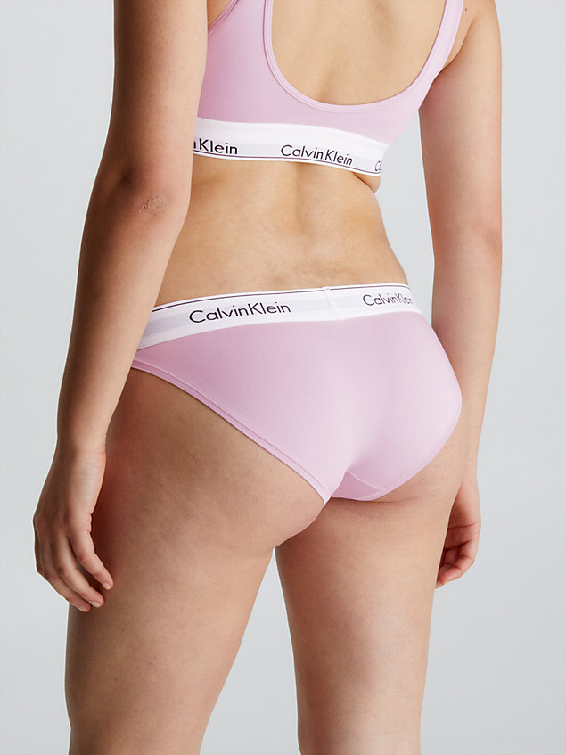 purple bikini briefs - modern cotton for women calvin klein