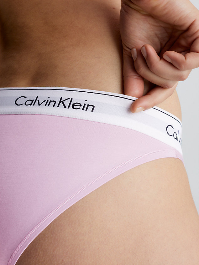 purple bikini briefs - modern cotton for women calvin klein