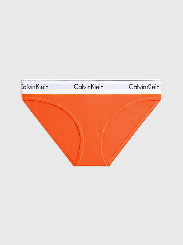 carrot bikini briefs - modern cotton for women calvin klein