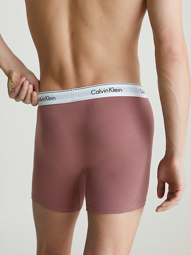 capri rose 3 pack boxer briefs - modern cotton for men calvin klein