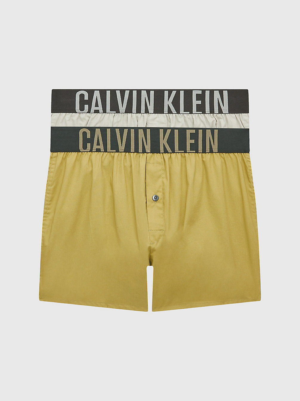 OCEAN MIST GREY/ PISTCHE 2 Pack Slim Fit Boxers - Intense Power undefined men Calvin Klein