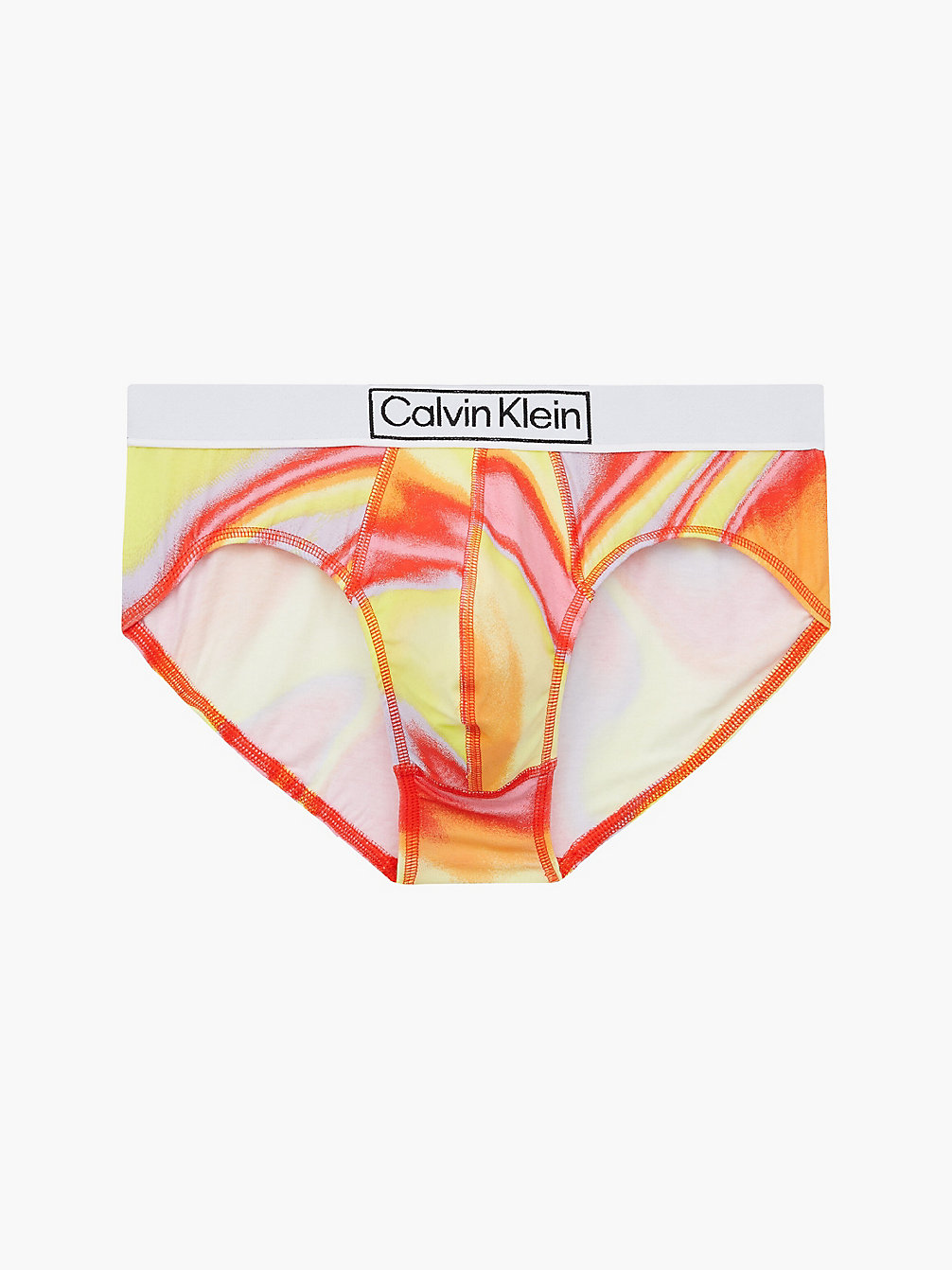 IRIDESCENT PRIDE_TUSCAN TERRA COTTA Briefs - Pride undefined men Calvin Klein