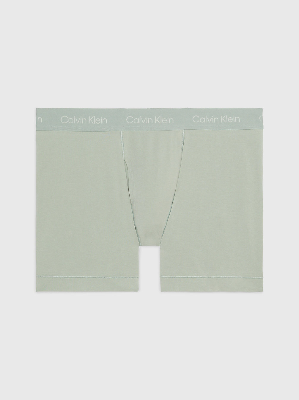 FROSTED FERN Boxers Lang undefined heren Calvin Klein