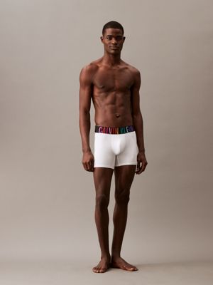 white boxer briefs - intense power pride for men calvin klein