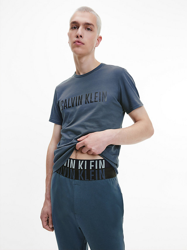 Hemisphere Blue Lounge T-Shirt - Intense Power undefined men Calvin Klein