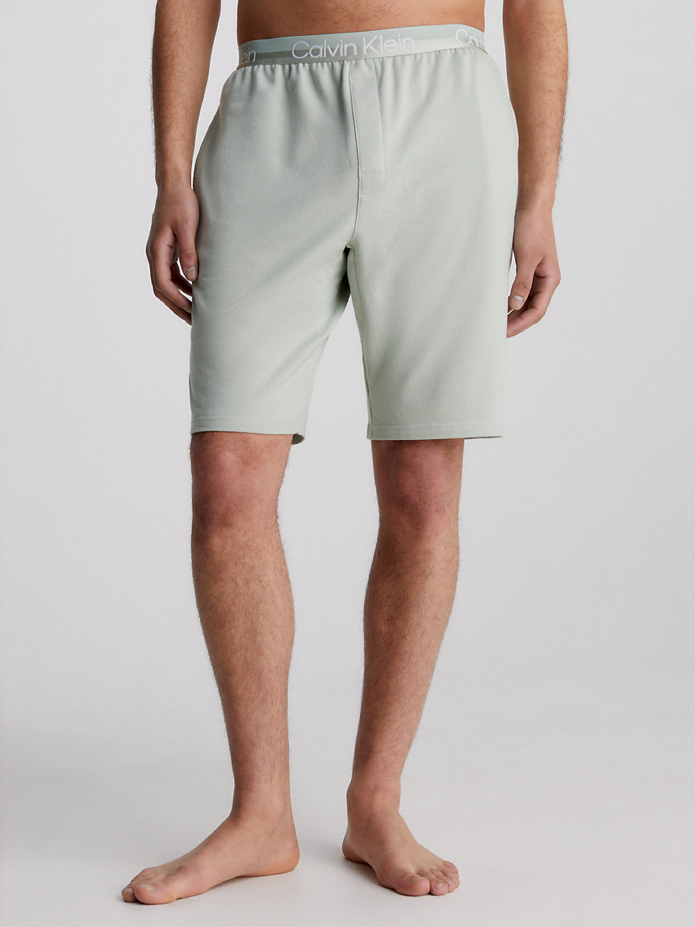 FROSTED FERN Lounge Shorts - Modern Structure undefined men Calvin Klein
