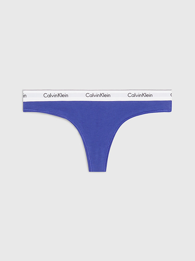 blue plus size thong - modern cotton for women calvin klein