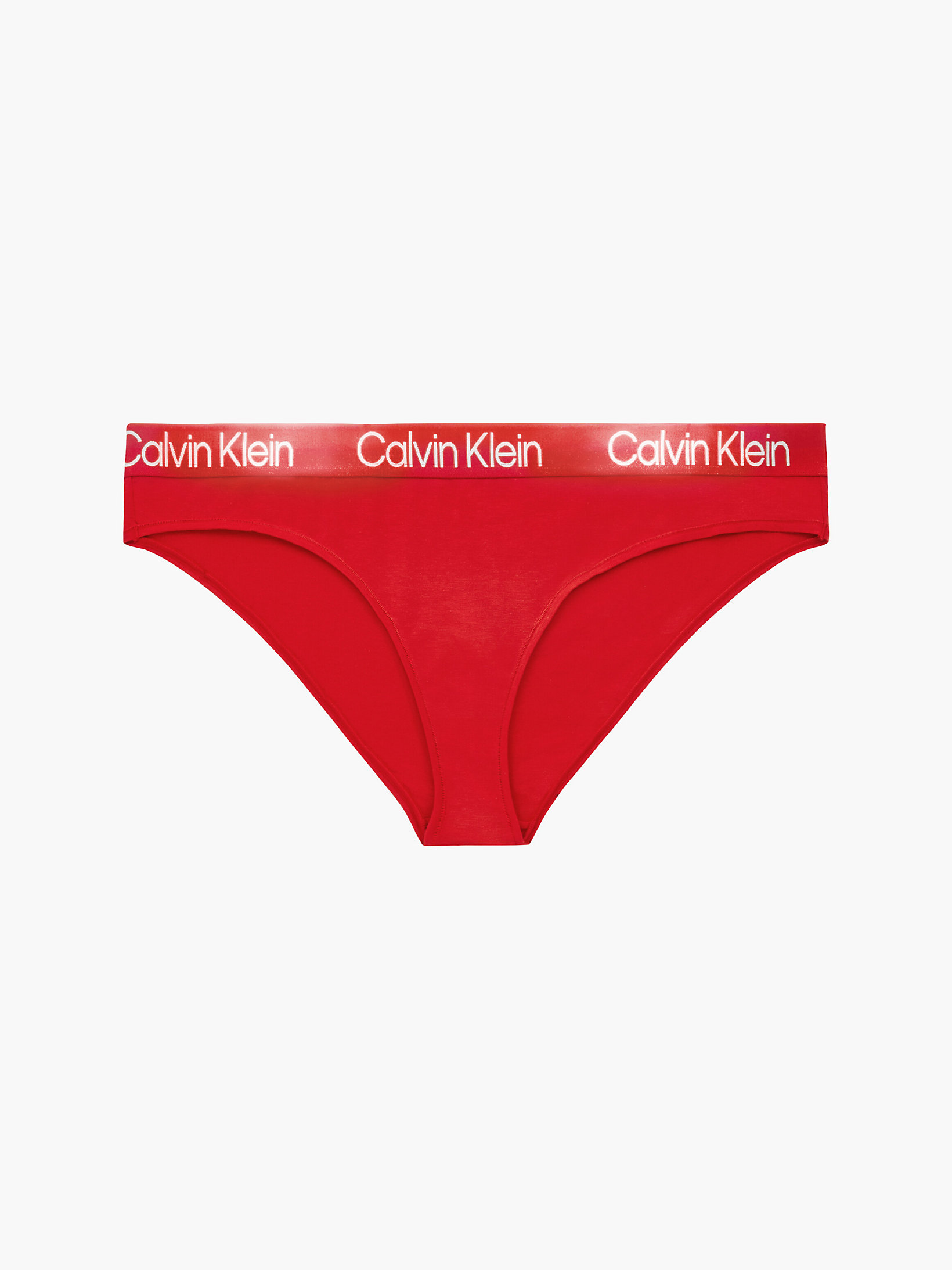 Rustic Red Plus Size Bikini Brief - Modern Structure undefined women Calvin Klein