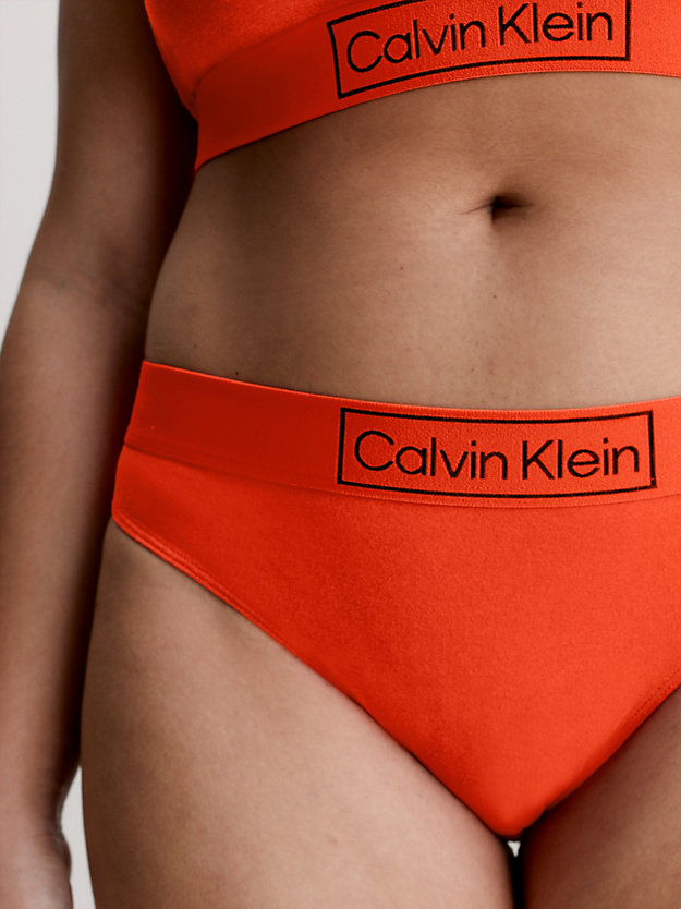 FIESTA Plus Size Bikini Briefs - Reimagined Heritage for women CALVIN KLEIN