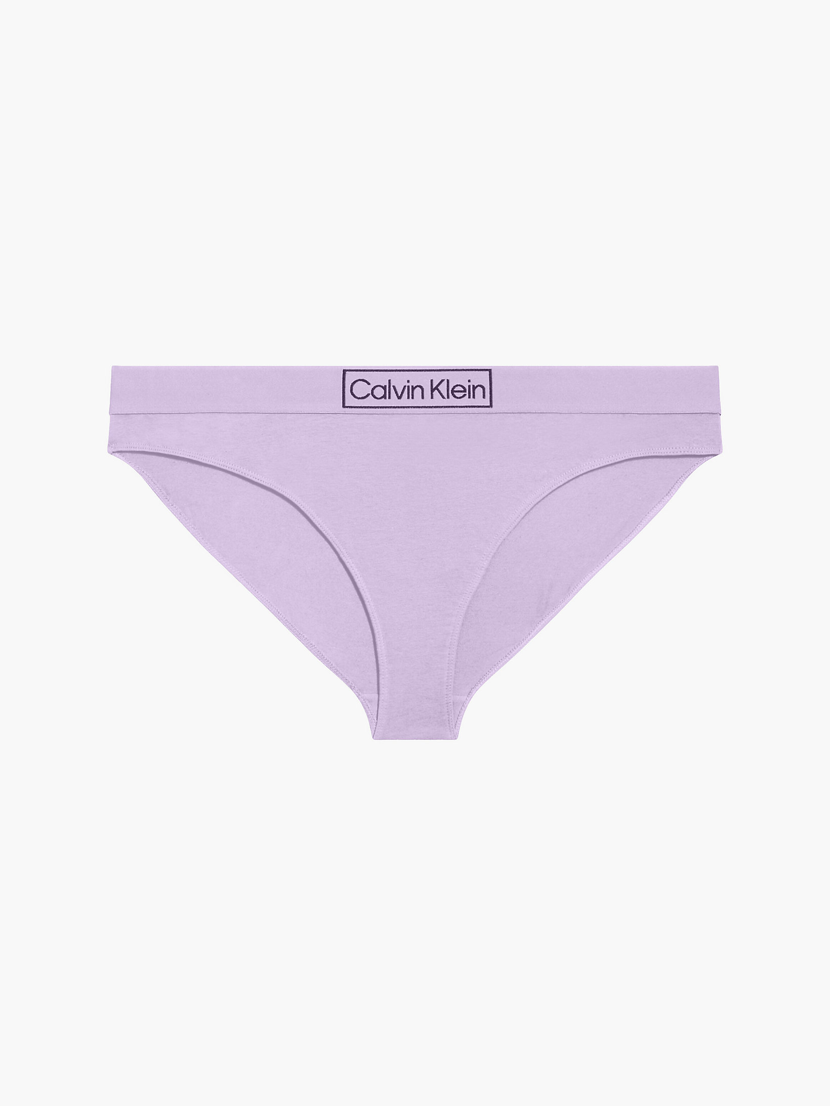 Vervain Lilac Plus Size Bikini Brief - Reimagined Heritage undefined women Calvin Klein