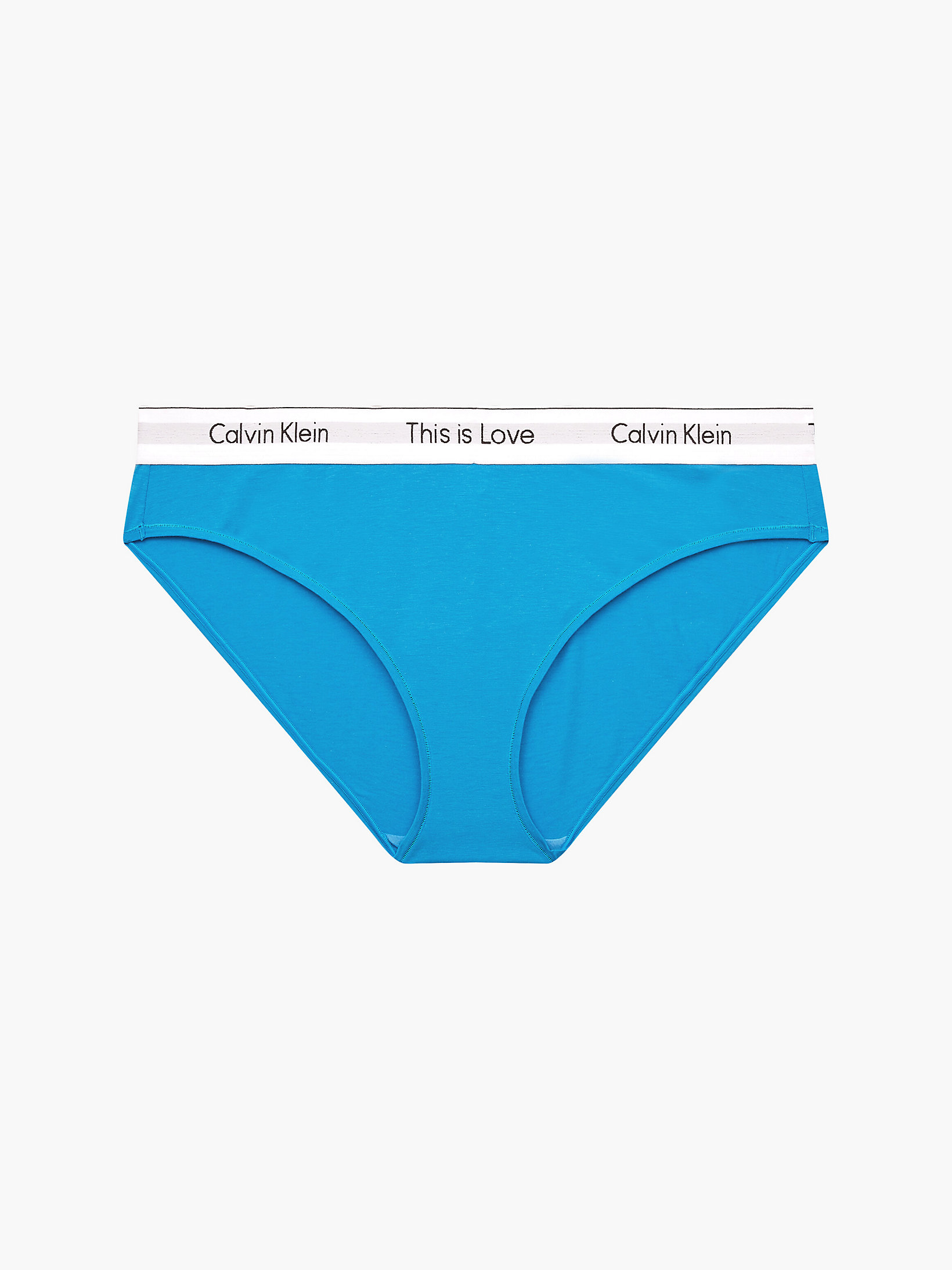 Deep Sky Blue Plus Size Bikini Brief - Pride undefined women Calvin Klein
