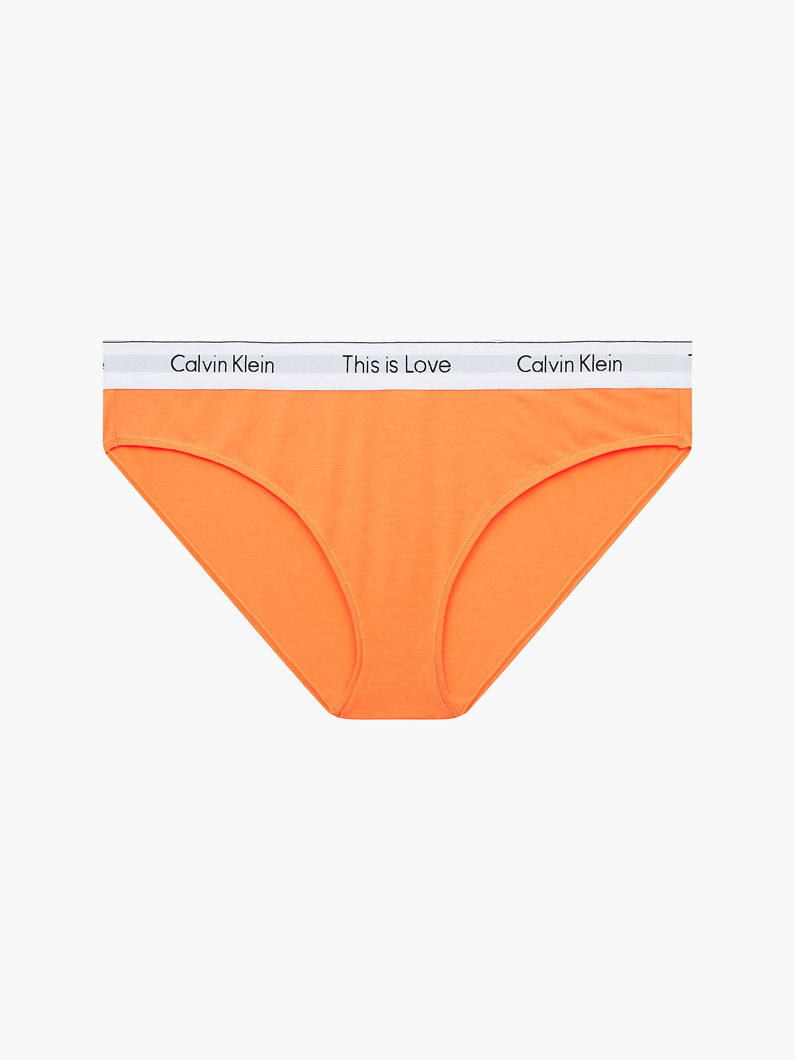 Orange Juice Plus Size Bikini Brief - Pride undefined women Calvin Klein