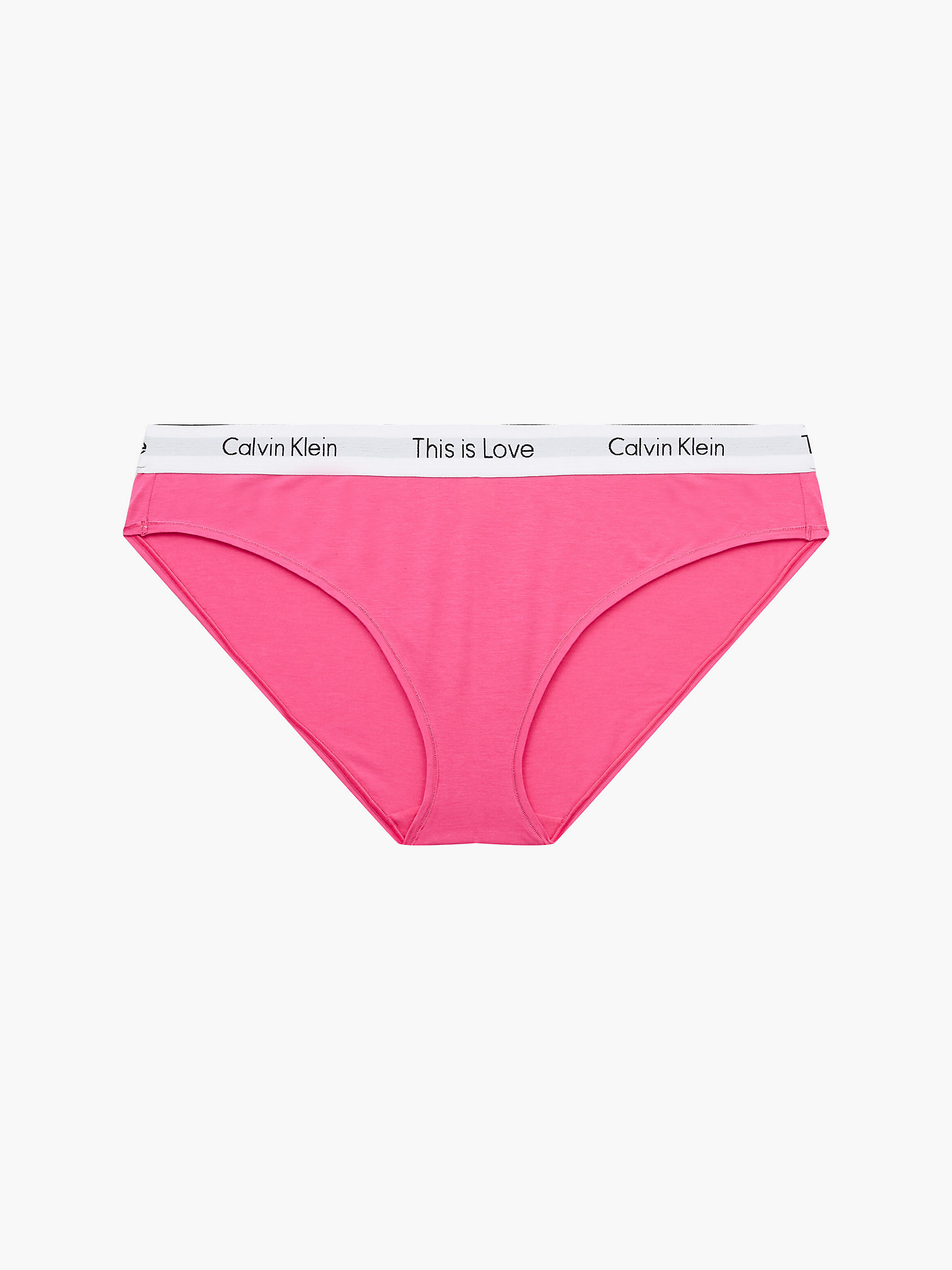 Pink Flambe Plus Size Bikini Brief - Pride undefined women Calvin Klein