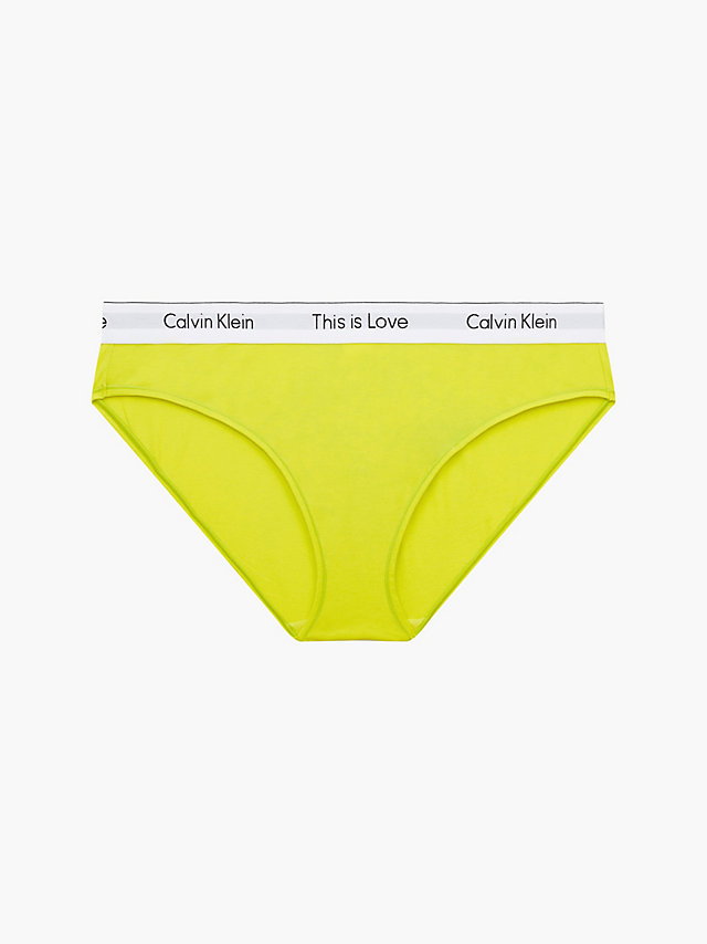 Citrina Plus Size Bikini Brief - Pride undefined women Calvin Klein