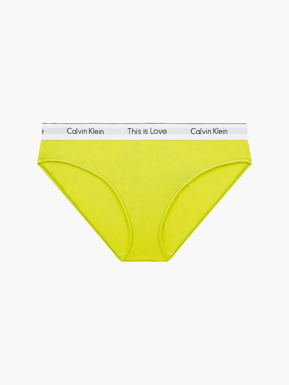 CITRINA Plus Size Bikini Brief - Pride undefined women Calvin Klein