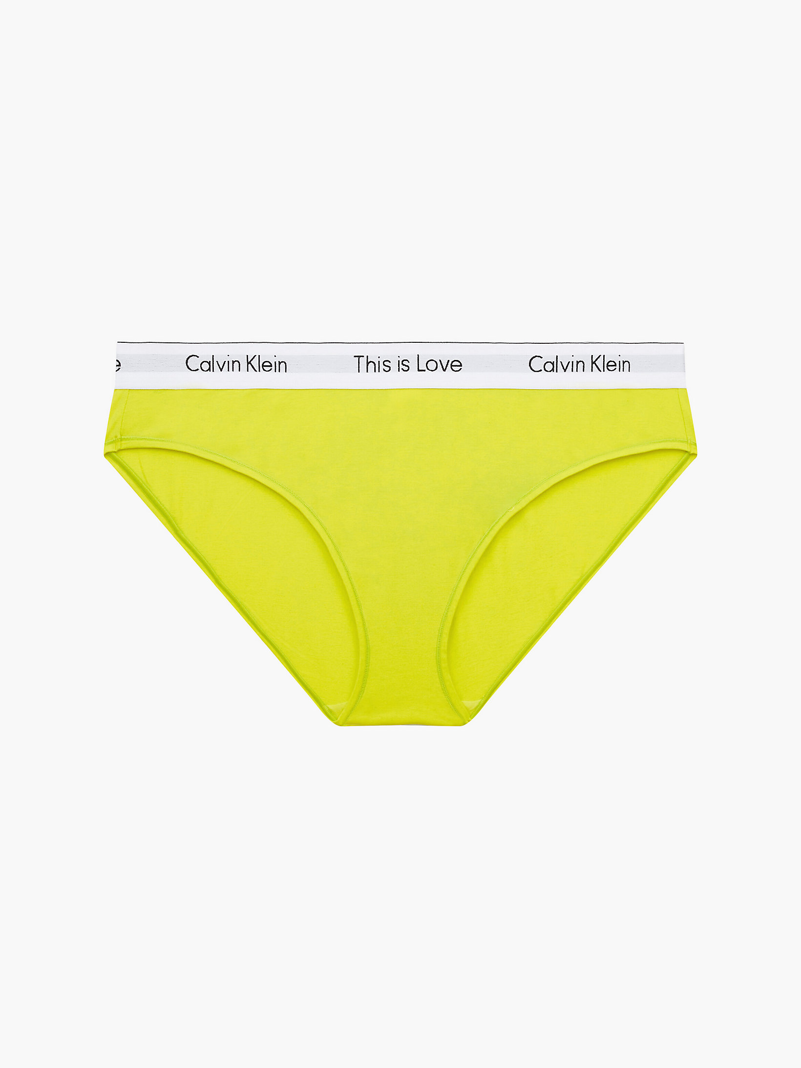 Citrina Plus Size Bikini Brief - Pride undefined women Calvin Klein