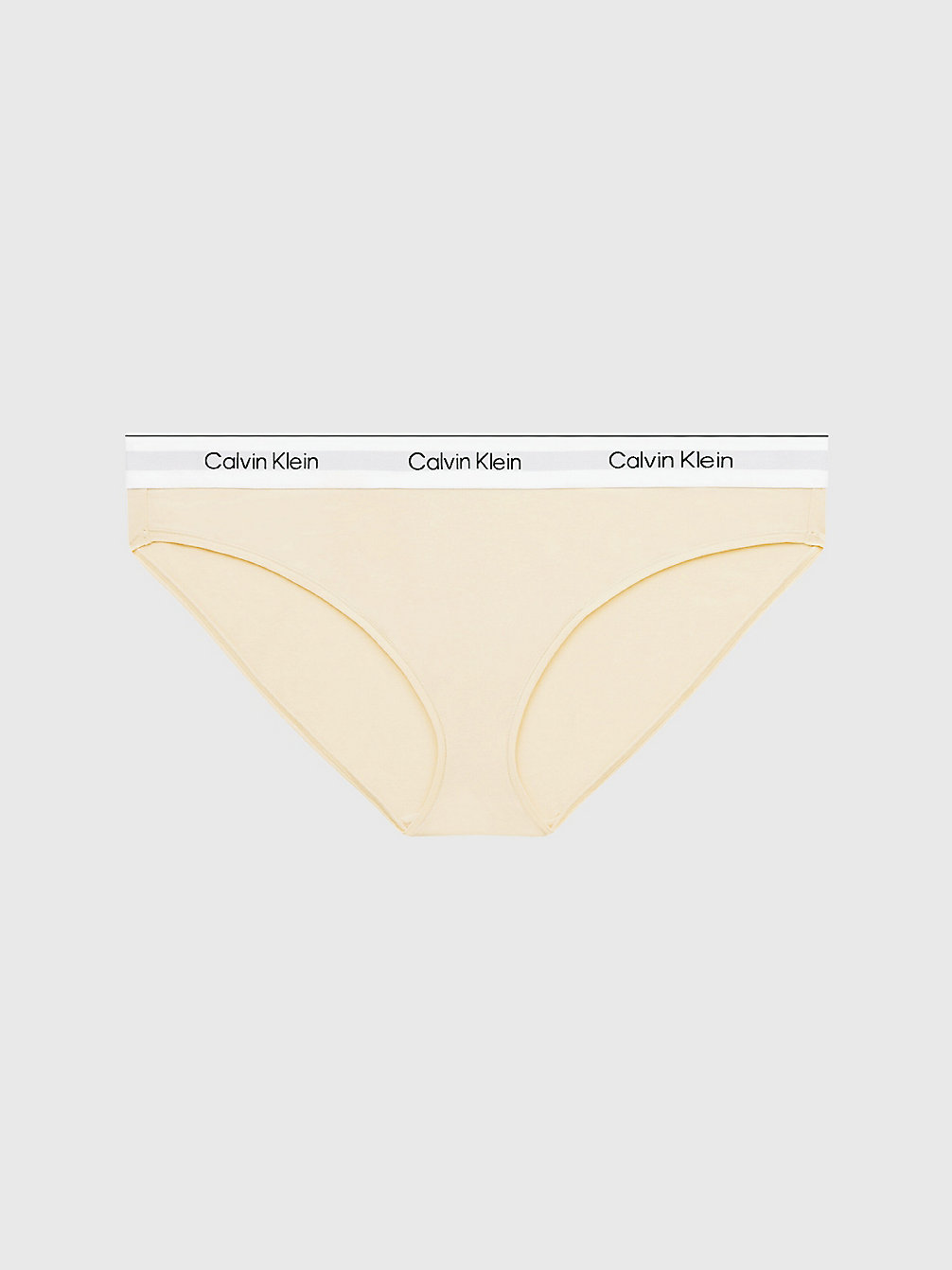 STONE Plus Size Bikini Brief - Modern Cotton undefined women Calvin Klein