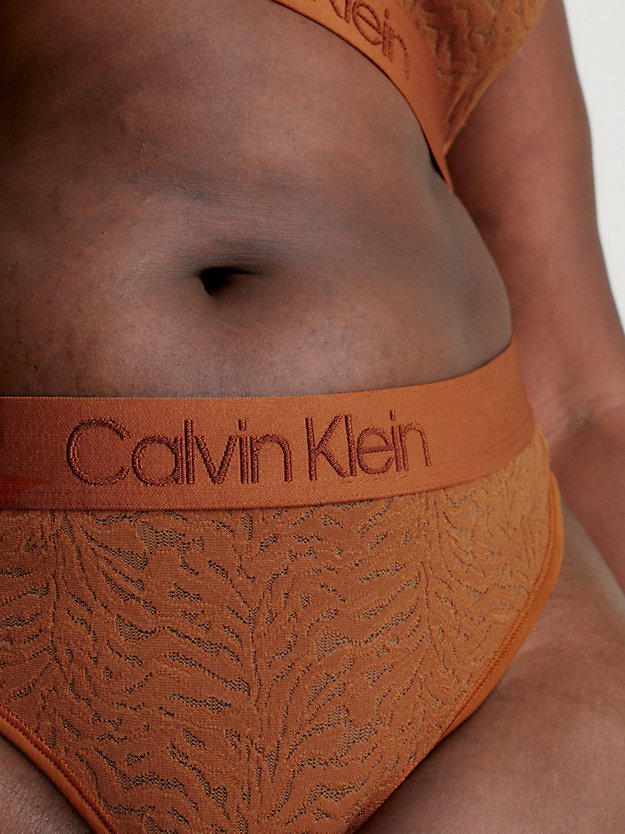 ginger bread plus size lace thong - intrinsic for women calvin klein
