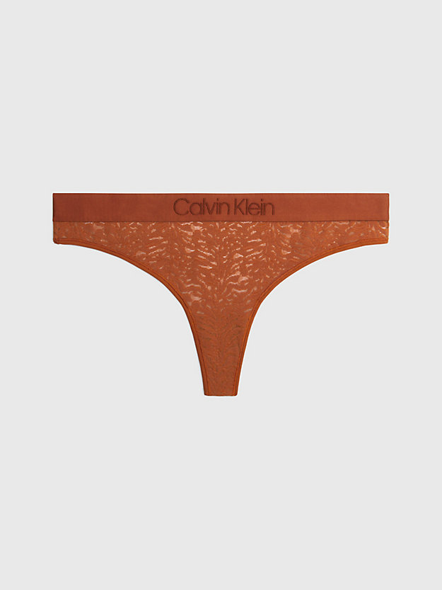 ginger bread plus size lace thong - intrinsic for women calvin klein