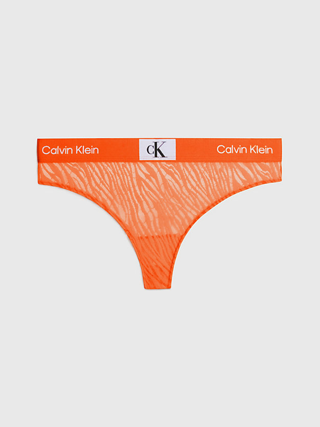 carrot lace thong - ck96 for women calvin klein