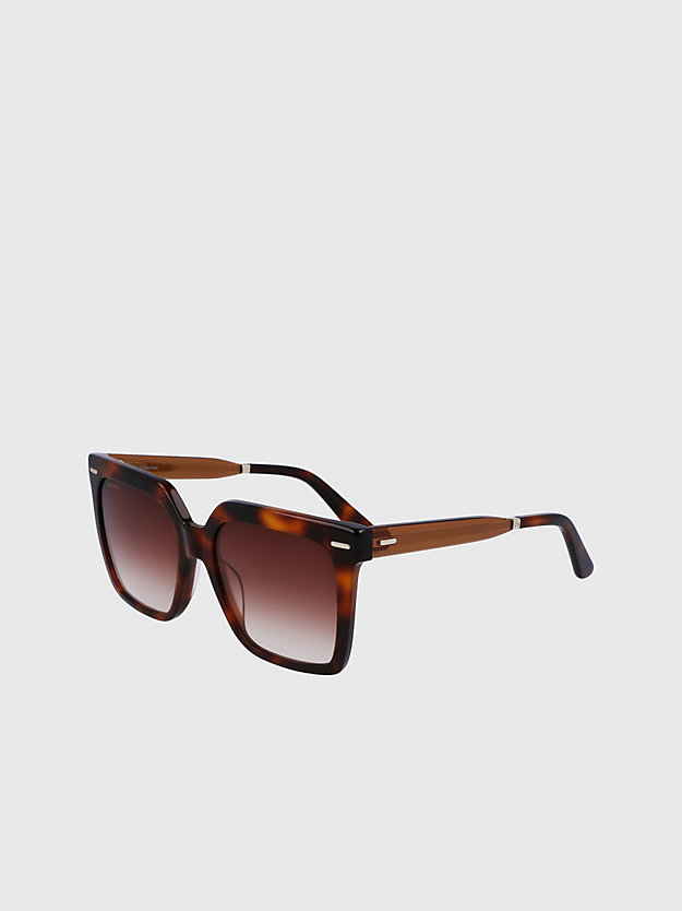 brown havana square sunglasses ck22534s for women calvin klein