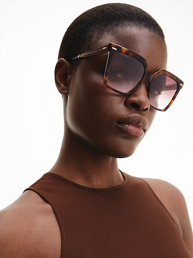 occhiali da sole squadrati ck22534s brown havana da donna calvin klein