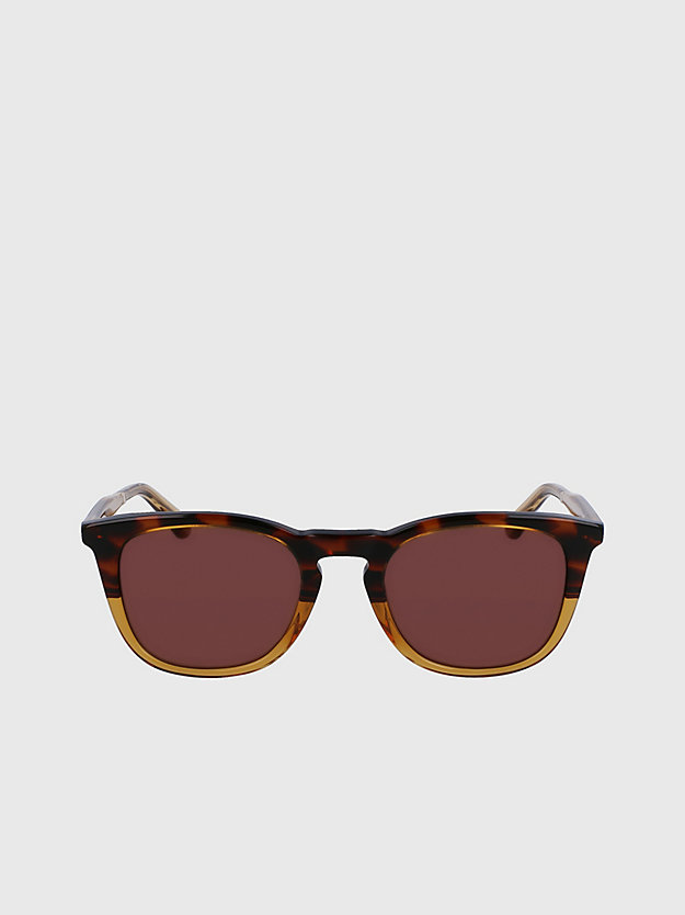 brown havana okrągłe okulary przeciwsłoneczne ck23501s dla unisex - calvin klein