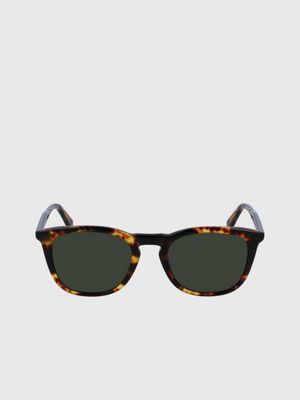 Calvin klein tortoise outlet shell sunglasses