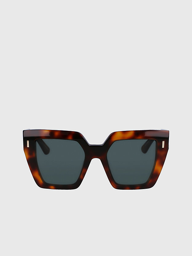 brown havana kwadratowe okulary przeciwsłoneczne ck23502s dla kobiety - calvin klein