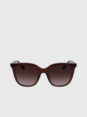 Calvin klein cheap brown glasses