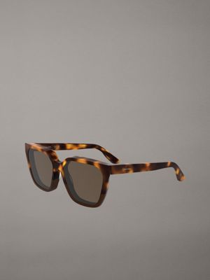 havana/brown modified rectangle sunglasses ck25500s for women calvin klein