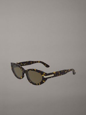 havana cat eye sunglasses ck25502s for women calvin klein