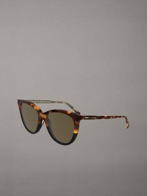 havana/black butterfly sunglasses ck25508s for women calvin klein