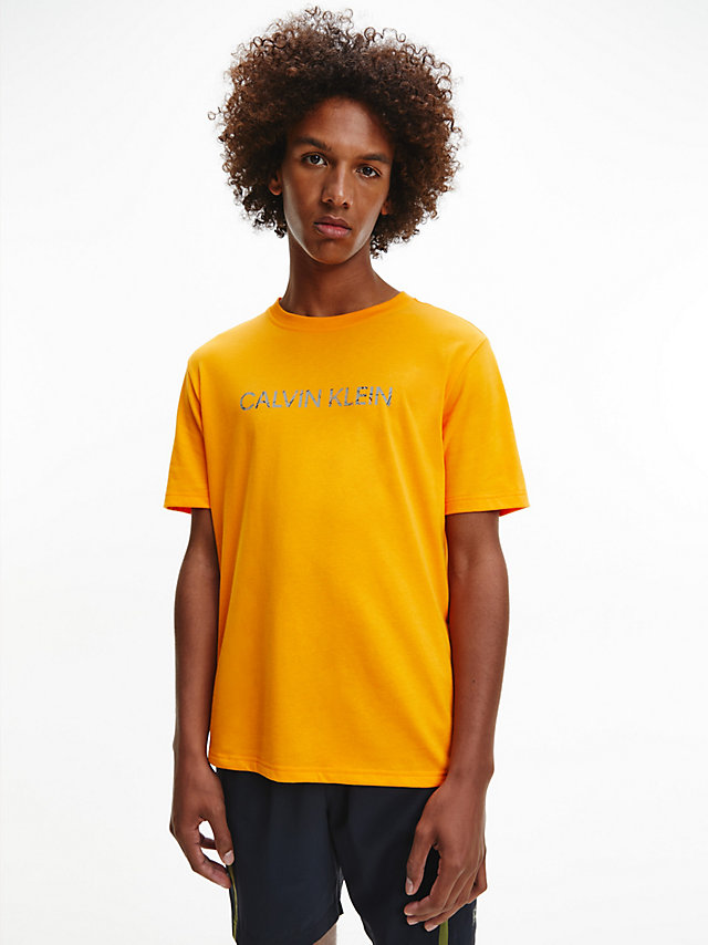 Flame Orange/capulet Olive Logo Gym T-Shirt undefined men Calvin Klein