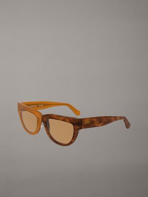 brown to havana cat eye sunglasses ckj25600s for women calvin klein jeans