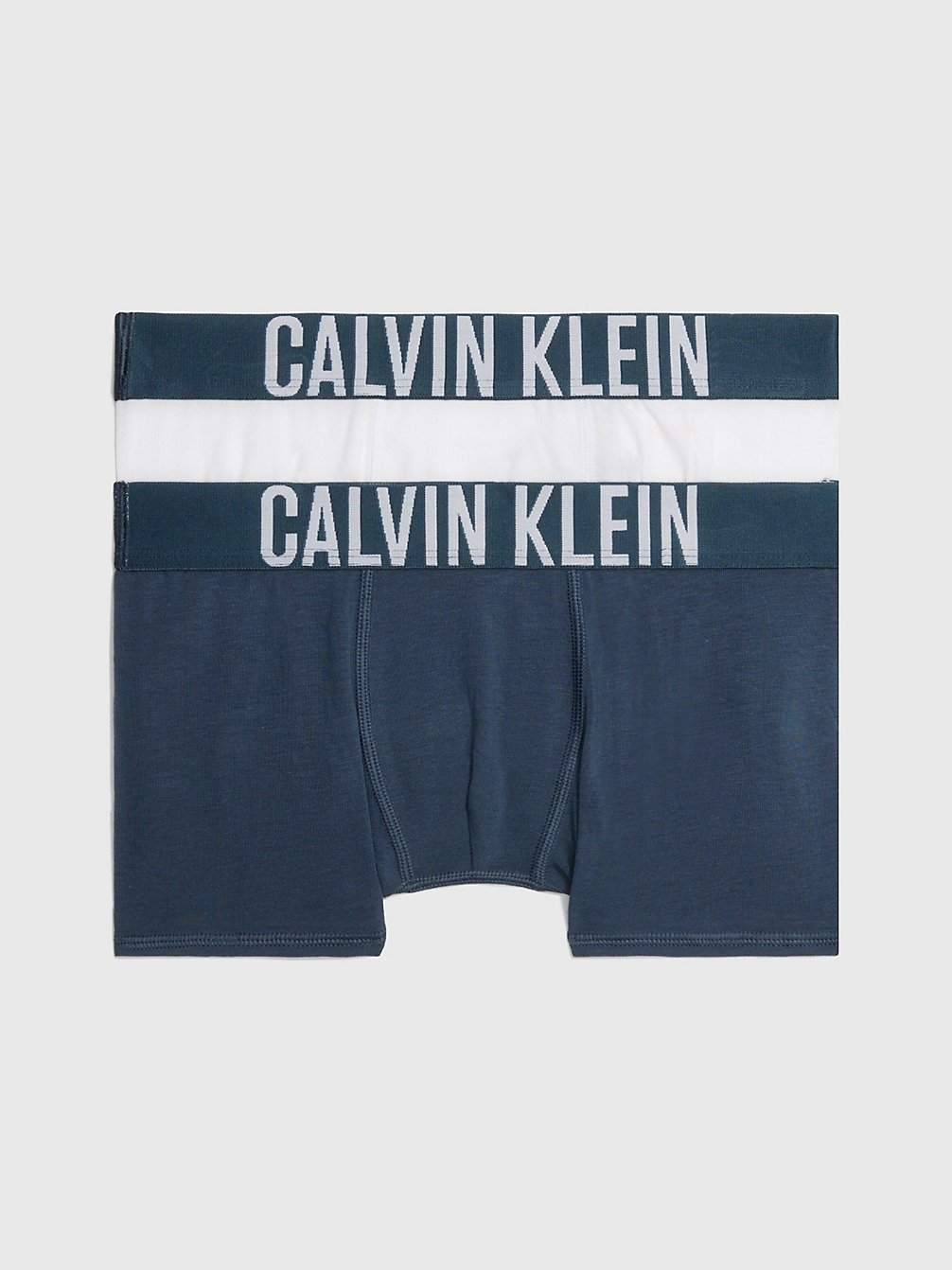 BLUENOMAD/PVHWHITE 2 Pack Boys Trunks - Intense Power undefined boys Calvin Klein