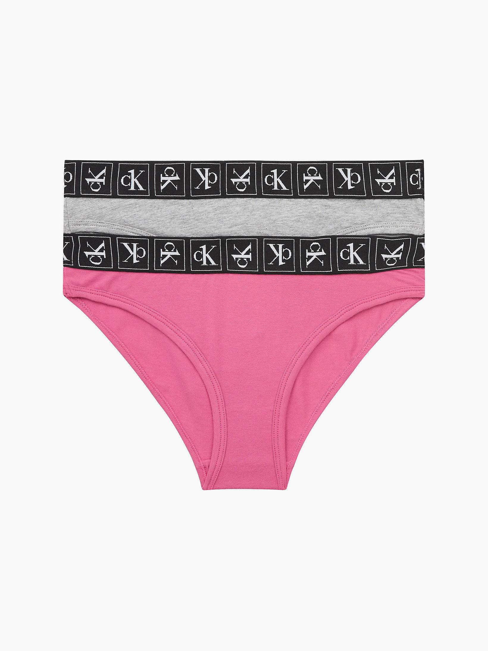 Pinkhydrangea/greyheather 2 Pack Girls Bikini Briefs - CK One undefined girls Calvin Klein