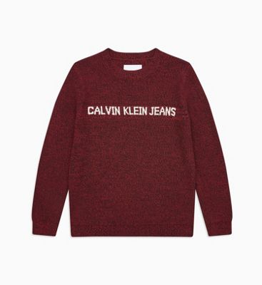 boys calvin klein jumper