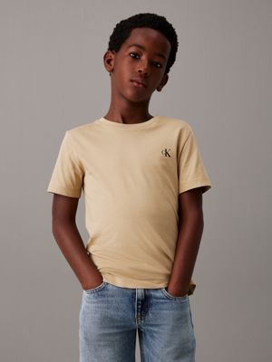 pelican / travertine 2 pack t-shirts for boys calvin klein jeans