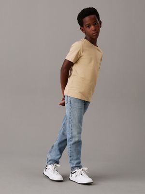 pelican / travertine 2 pack t-shirts for boys calvin klein jeans