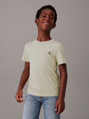 pelican / travertine 2 pack t-shirts for boys calvin klein jeans