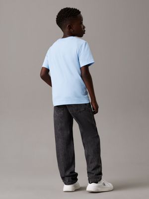 t-shirt in confezione da 2 blue bell / oyster gray da bambini calvin klein jeans