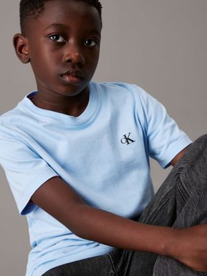t-shirt in confezione da 2 blue bell / oyster gray da bambini calvin klein jeans