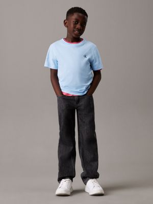 t-shirt in confezione da 2 blue bell / oyster gray da bambini calvin klein jeans
