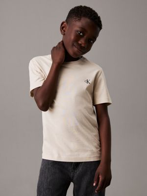 t-shirt in confezione da 2 blue bell / oyster gray da bambini calvin klein jeans
