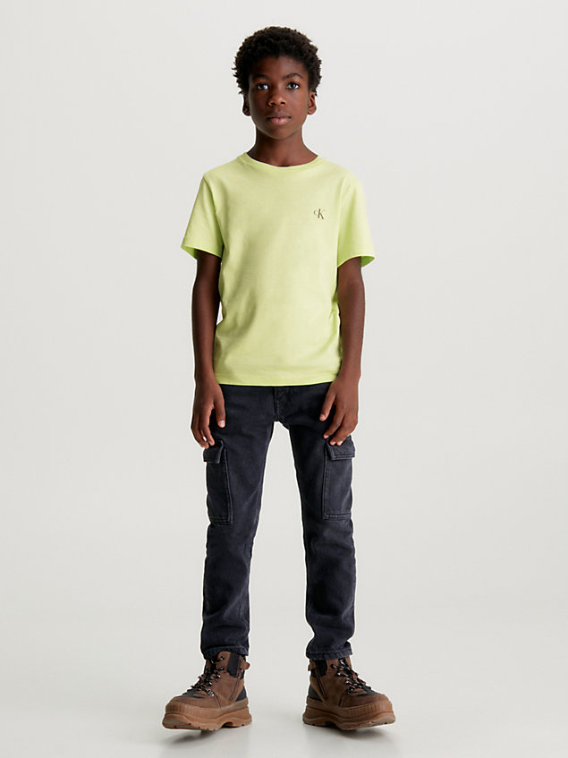 green 2 pack t-shirts for boys calvin klein jeans